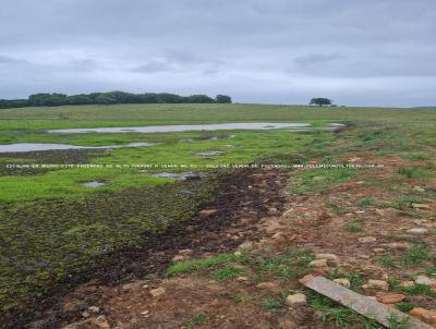 Fazenda para Venda, em Viamo, bairro RS