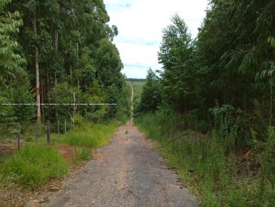 Fazenda para Venda, em Eldorado do Sul, bairro RS