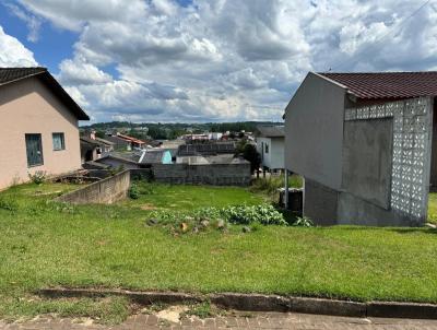 Terreno para Venda, em Francisco Beltro, bairro Sadia