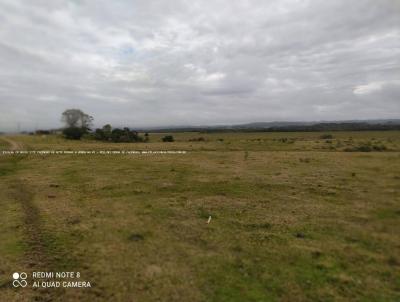 Fazenda para Venda, em So Loureno do Sul, bairro RS