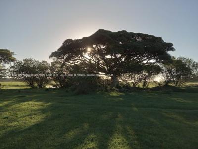 Fazenda para Venda, em Tavares, bairro RS