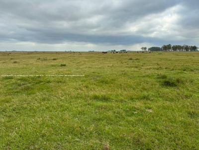 Fazenda para Venda, em Tavares, bairro RS