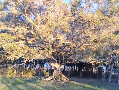 Fazenda para Venda, em So Jos do Norte, bairro RS