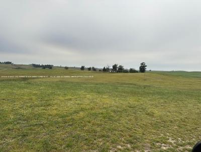 Fazenda para Venda, em Santana do Livramento, bairro RS