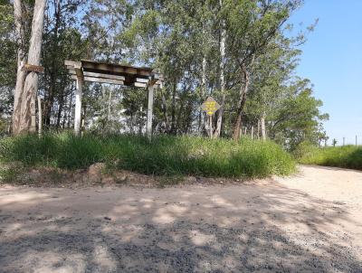 Chcara para Venda, em Sumar, bairro Chcara Primavera