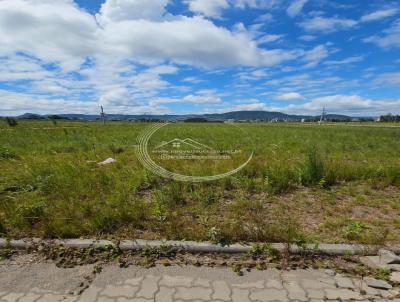 Terreno para Venda, em Santa Maria, bairro Camobi