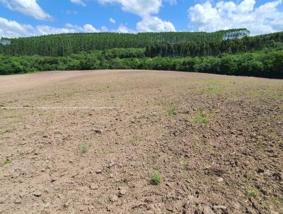 Fazenda para Venda, em Sentinela do Sul, bairro RS