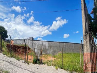 Lote para Venda, em Pouso Alegre, bairro Dorotia II