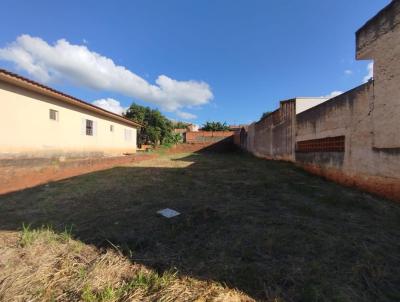 Lote para Venda, em Santo Antnio da Platina, bairro Vila So Pedro