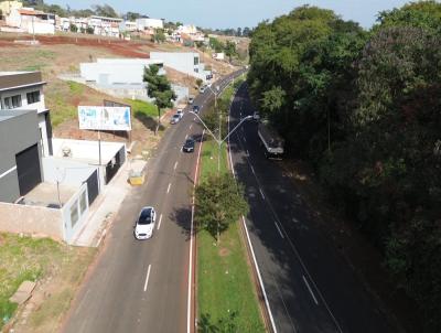 Barraco para Venda, em Londrina, bairro Jardim Presidente