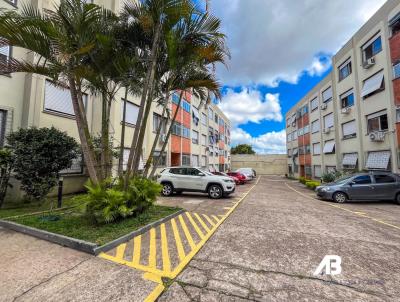 Apartamento para Venda, em Porto Alegre, bairro Vila Jardim, 1 dormitrio, 1 banheiro