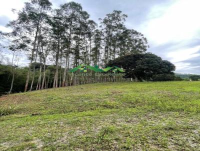 Terreno Rural para Venda, em , bairro Amparo