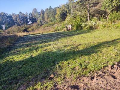 Terreno para Venda, em Santa Maria, bairro Jardim Berleze