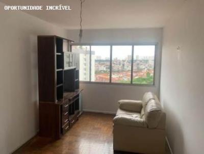 Apartamento para Locao, em So Paulo, bairro Cambuci, 2 dormitrios, 2 banheiros