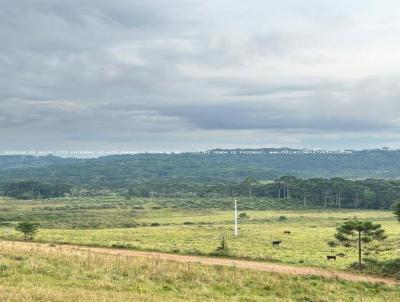 Fazenda para Venda, em Cambar do Sul, bairro RS