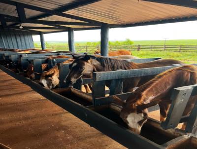 Fazenda para Venda, em Iguatemi, bairro ZONA RURAL