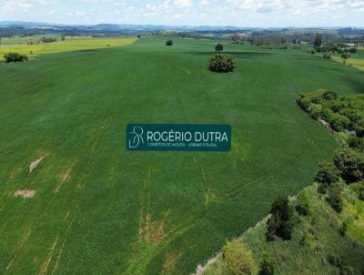 Fazenda para Venda, em Guapirama, bairro Alphaville II