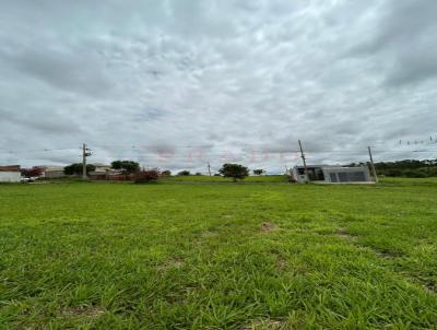 Terreno para Venda, em Regente Feij, bairro JARDIM PRIMAVERA