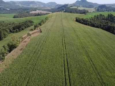 Fazenda para Venda, em Tamarana, bairro ZONA RURAL