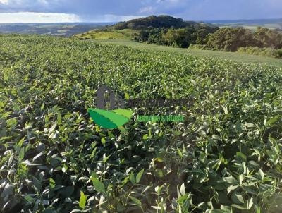 Stio para Venda, em Tamarana, bairro ZONA RURAL