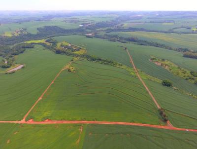 Fazenda para Venda, em Apucarana, bairro ZONA RURAL