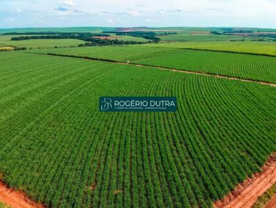 Fazenda para Venda, em Cafeara, bairro ZONA RURAL