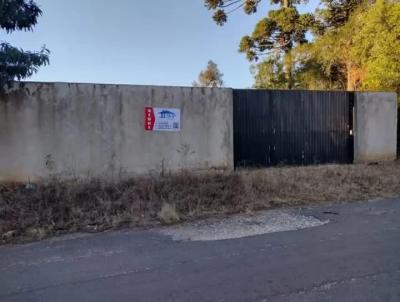 Terreno para Venda, em Piraquara, bairro Guaraituba