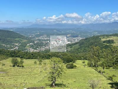 Stio para Venda, em Igrejinha, bairro Lajeadinho, 2 dormitrios, 1 banheiro