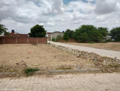 Terreno para Venda, em Vertentes, bairro Centro