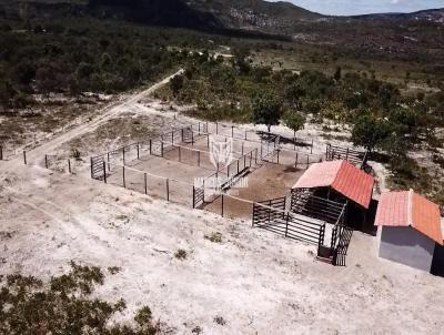 Fazenda para Venda, em Riacho dos Machados, bairro ZONA RURAL