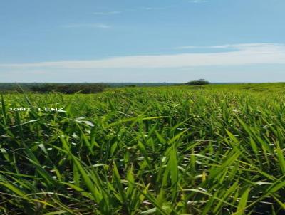 Fazenda para Venda, em Sonora, bairro rural