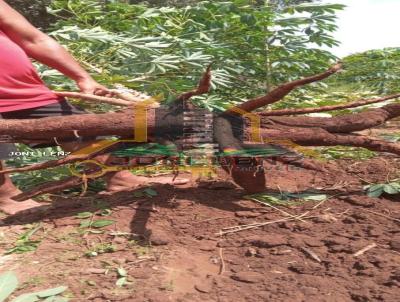 Stio para Venda, em Nobres, bairro Bom Jardim