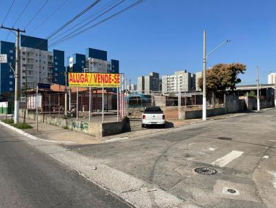 Terreno para Locao, em So Paulo, bairro Vila Califrnia