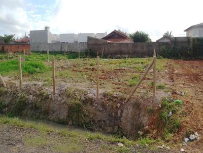 Terreno Urbano para Venda, em Barra Velha, bairro So Cristvo