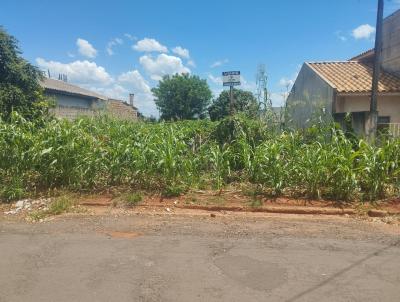 Terreno para Venda, em Astorga, bairro Jardim Verelena