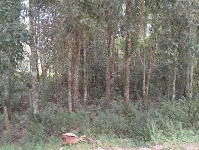 Terreno para Venda, em Bombinhas, bairro mariscal