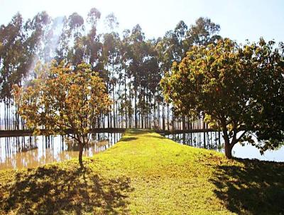 Fazenda para Venda, em Santana do Itarar, bairro Rural