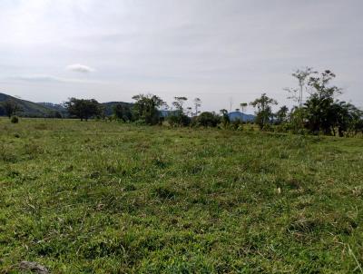 Terreno para Venda, em Ilhota, bairro boa vista