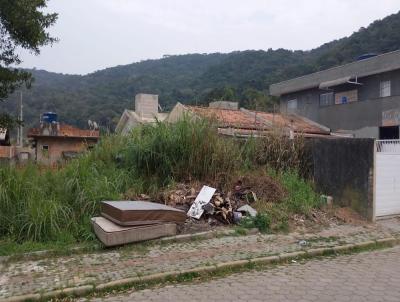 Terreno para Venda, em Bombinhas, bairro zimbros