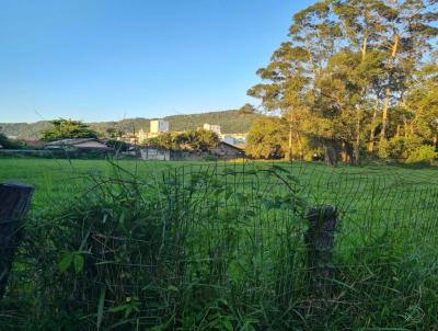 Terreno para Venda, em Florianpolis, bairro Cachoeira Do Bom Jesus