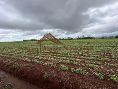 Fazenda para Venda, em Tatu, bairro rea Rural de Tatu