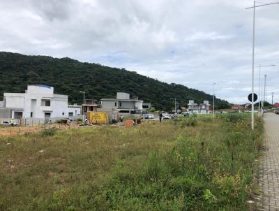 Terreno para Venda, em Florianpolis, bairro Rio Tavares