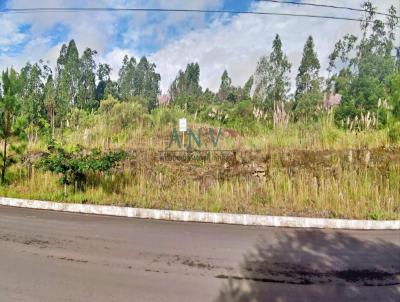 Terreno para Venda, em Farroupilha, bairro Linha Julieta