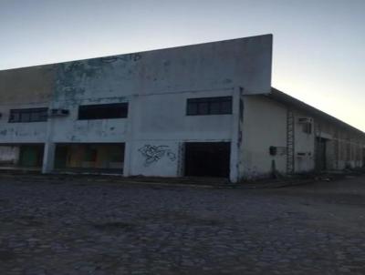 Galpo para Locao, em Horizonte, bairro Gameleira