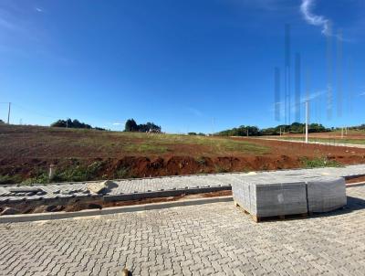 Terreno para Venda, em Frederico Westphalen, bairro Faguense