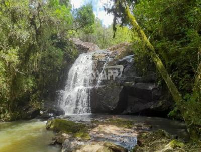 rea Rural para Venda, em , bairro 19km de Vacaria-RS, 2 dormitrios, 1 banheiro