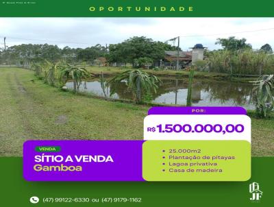 Stio para Venda, em So Francisco do Sul, bairro Praia do Ervino