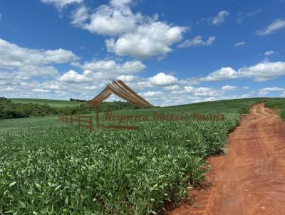 Fazenda para Venda, em Guapirama, bairro rea rural