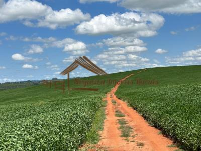 Fazenda para Venda, em Guapirama, bairro rea rural