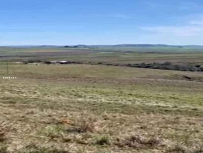 Campo para Venda, em Santana do Livramento, bairro Marco do lopes